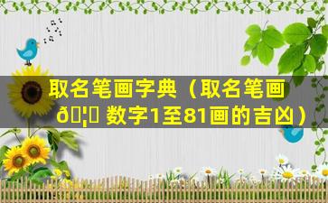 取名笔画字典（取名笔画 🦁 数字1至81画的吉凶）